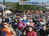 陸上】玉名市いちごマラソン 大会最多7047人が横島を快走