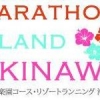 ～沖縄ランニングのススメ～ 「マラソン アイランド オキナワ」プロジェクト 東京マラソンEXPO2013に特設ブース出展