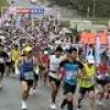国境マラソン参加過去最多