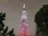 東京タワーが東京マラソン開催記念の特別ライトアップ ／東京