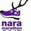 3キロジョギングも定員 - 奈良マラソン2015