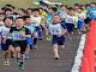 土浦マラソン、元気に児童ら疾走 大関3兄弟、3部門制覇